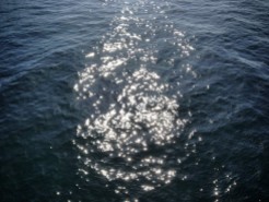 The sun on the water looked like thousands of tiny stars.