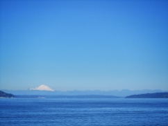 Where the Orcas were with Mt. Baker in the background.
