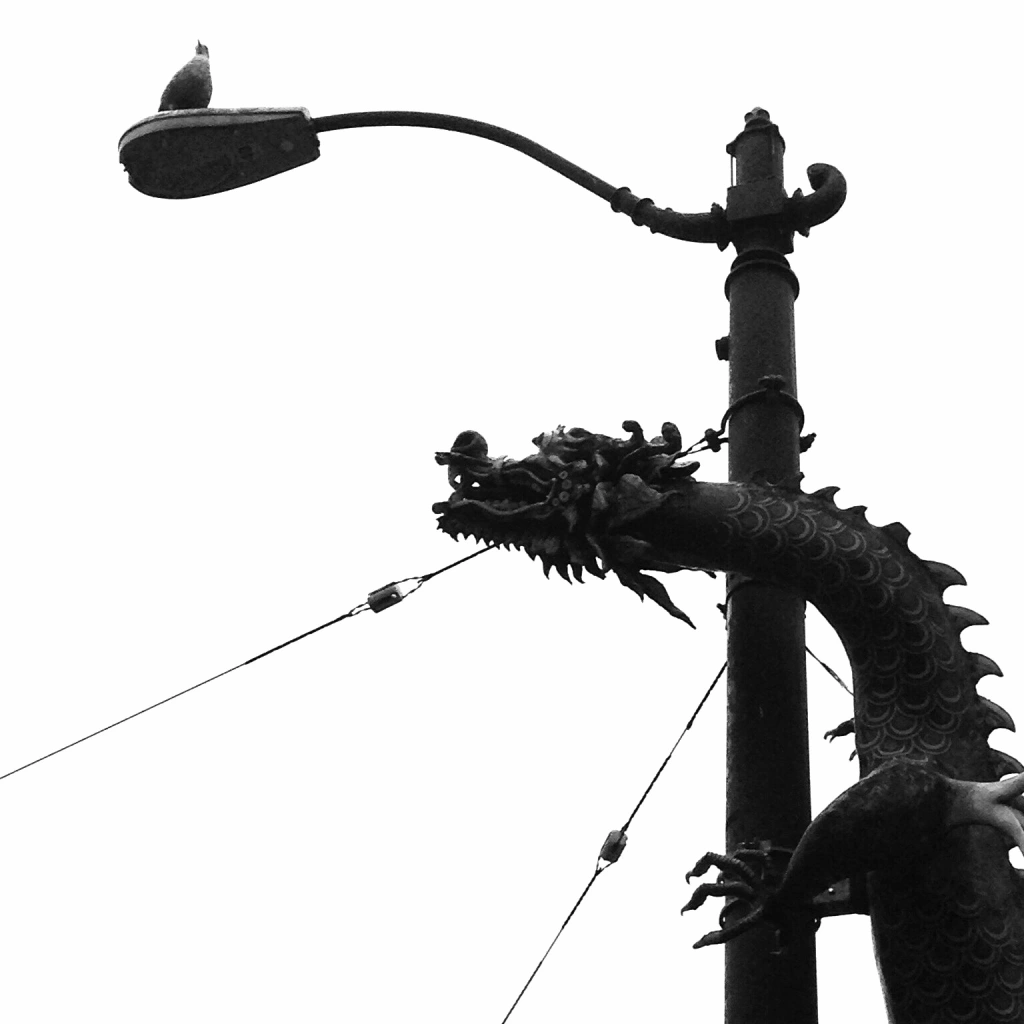 Weekly Photo Challenge:  Scale (Dragons in Chinatown)  B&W Challenge 4