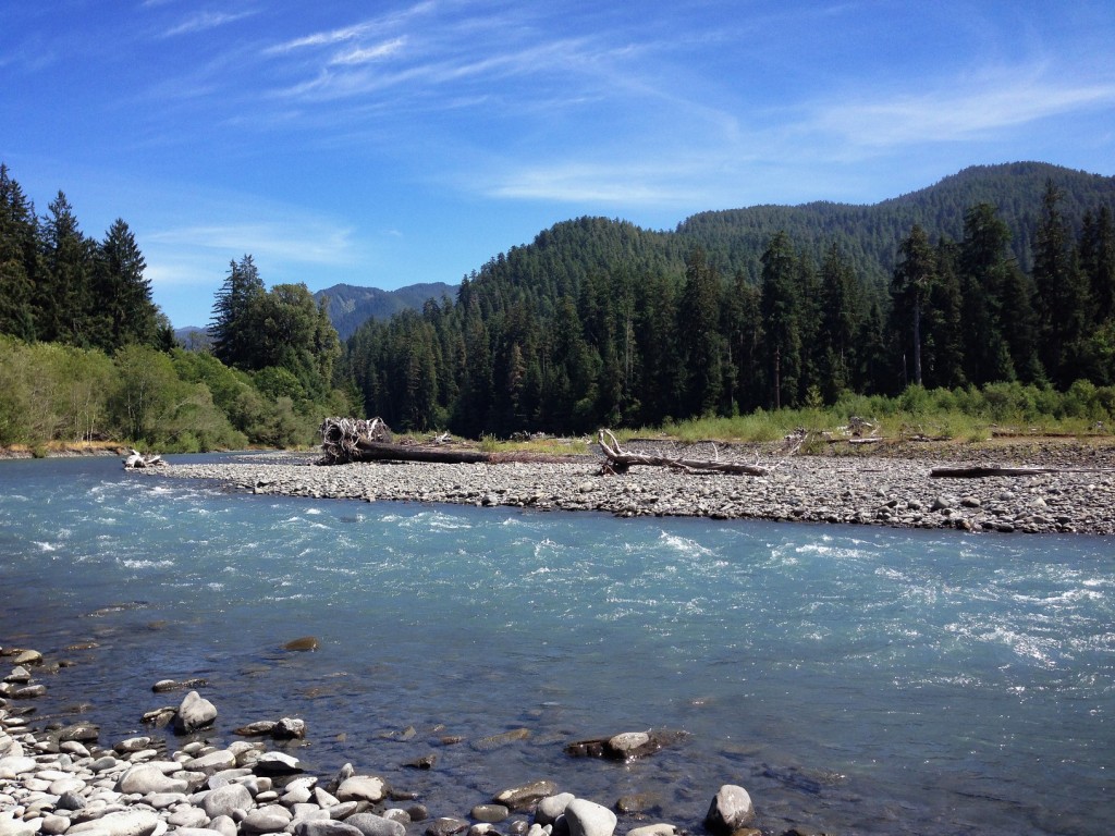 Weekly Photo Challenge:  Motion (Sounds of the Hoh River)